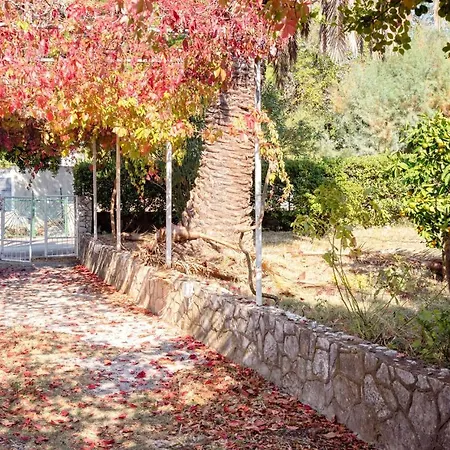 Sandy's Garden * Jelsa (Hvar)